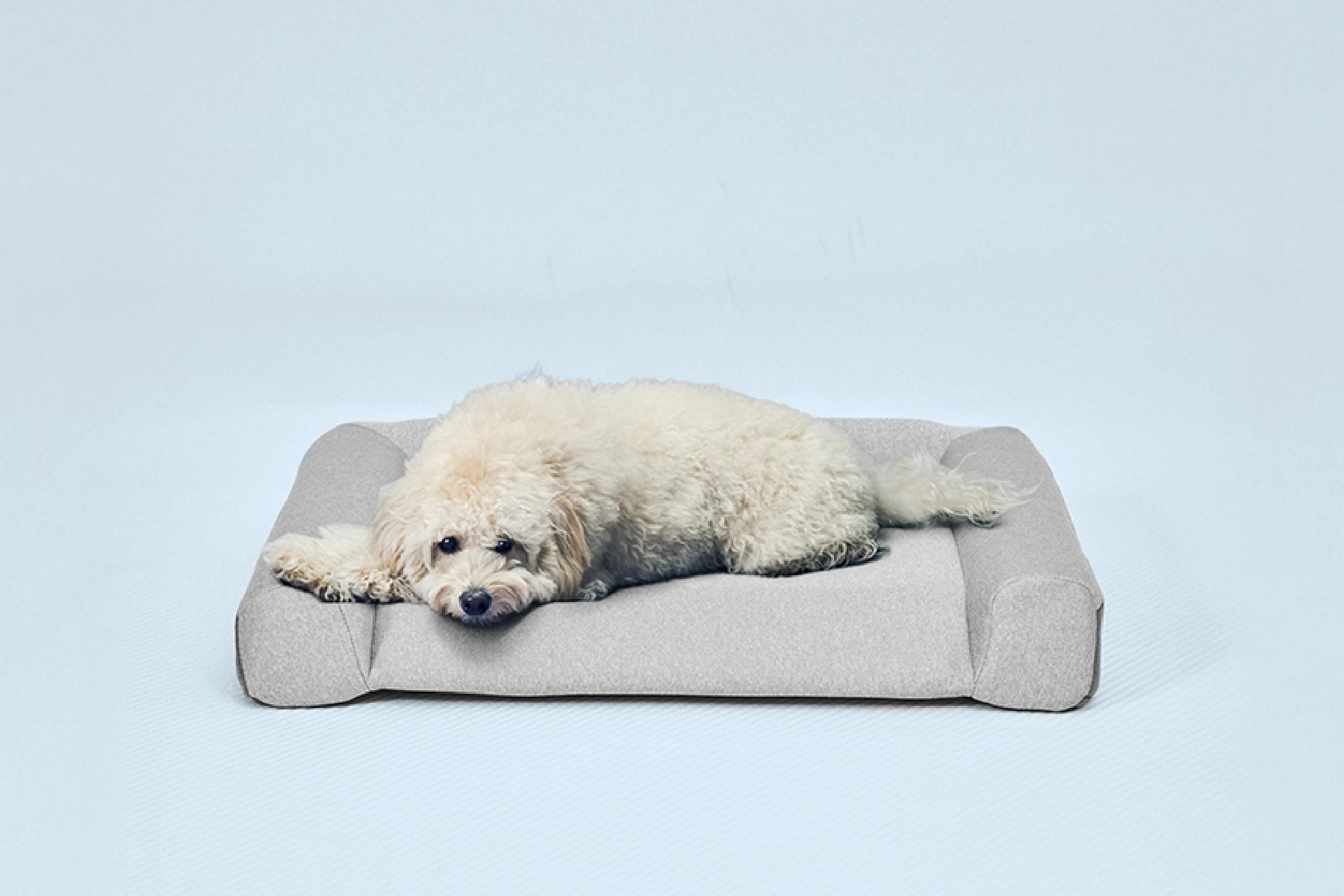 グーグースリープ【公式】｜guguドギー シニア