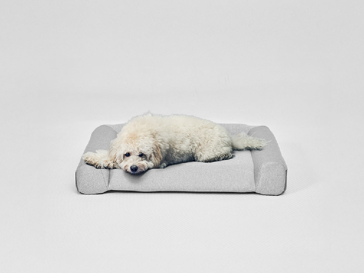 guguドギー シニア