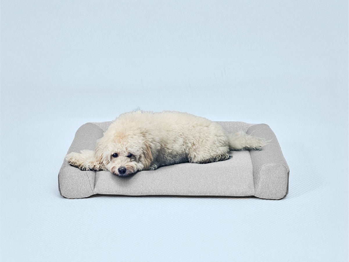 guguドギー シニア