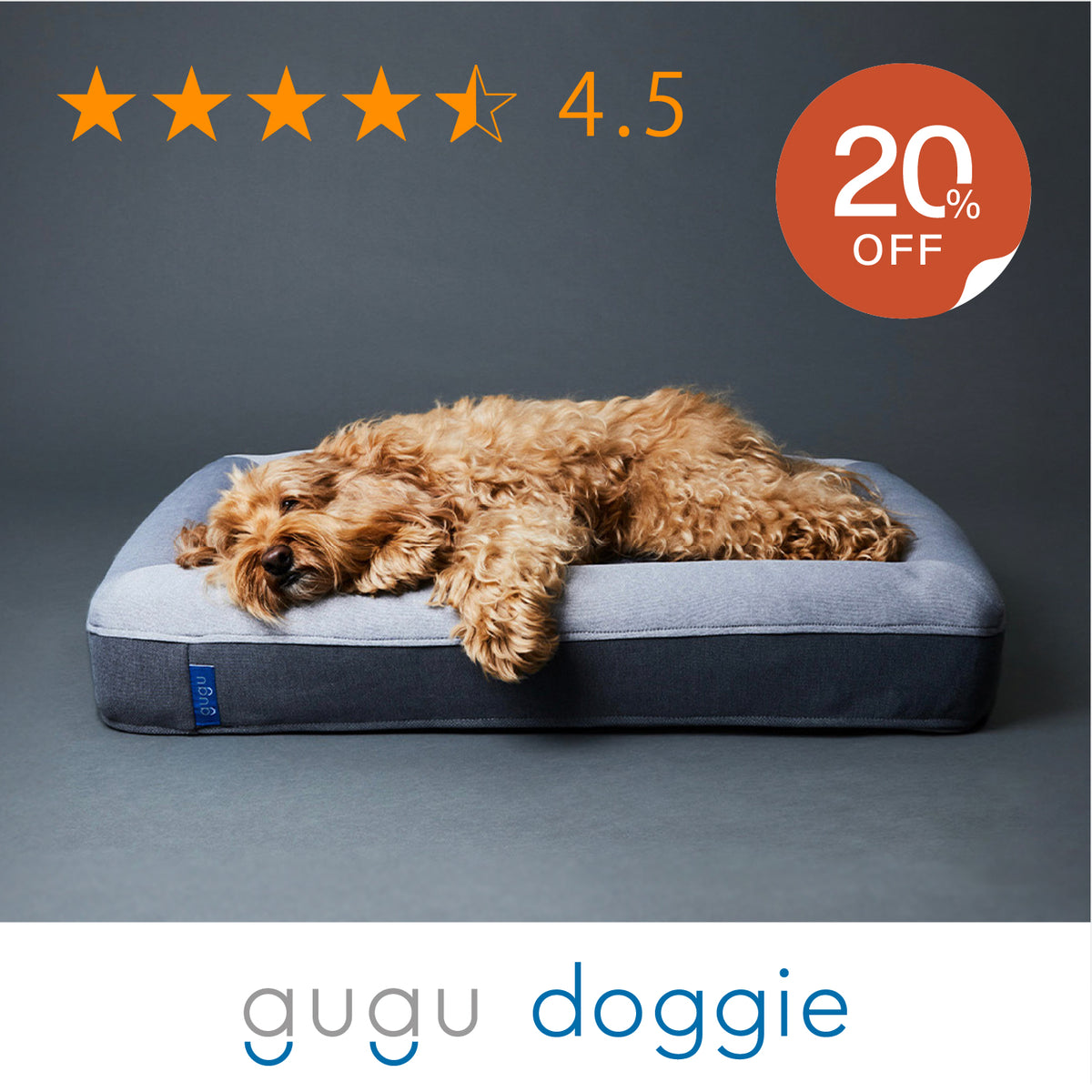 26AU_HP_doggie_star.jpg