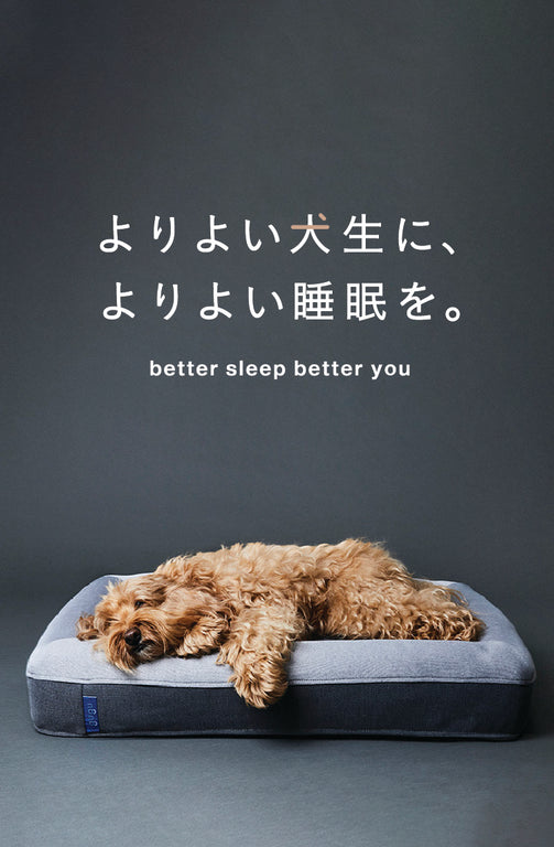 よりよい犬生に、よりよい睡眠を。　better sleep better you