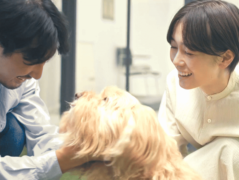 guguドギー 犬用ベッド