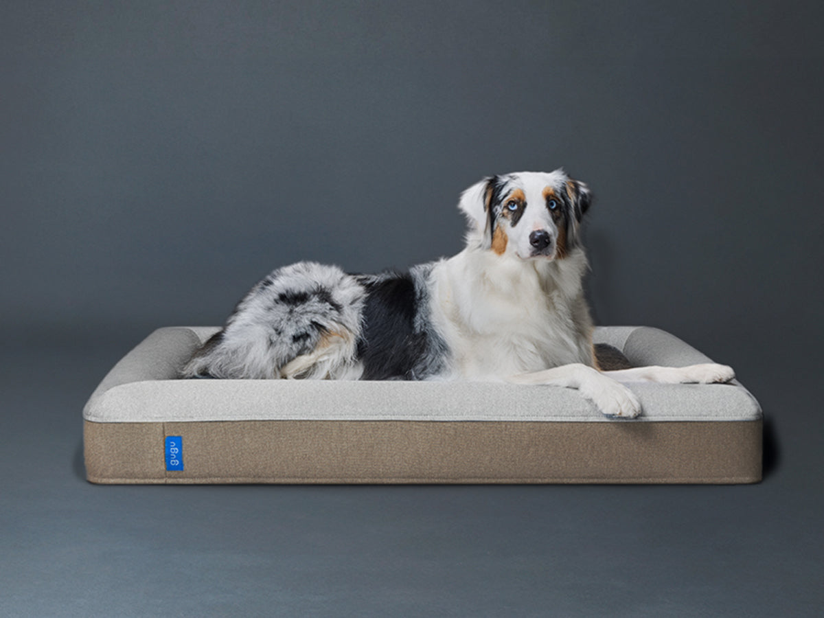 guguドギー 犬用ベッド