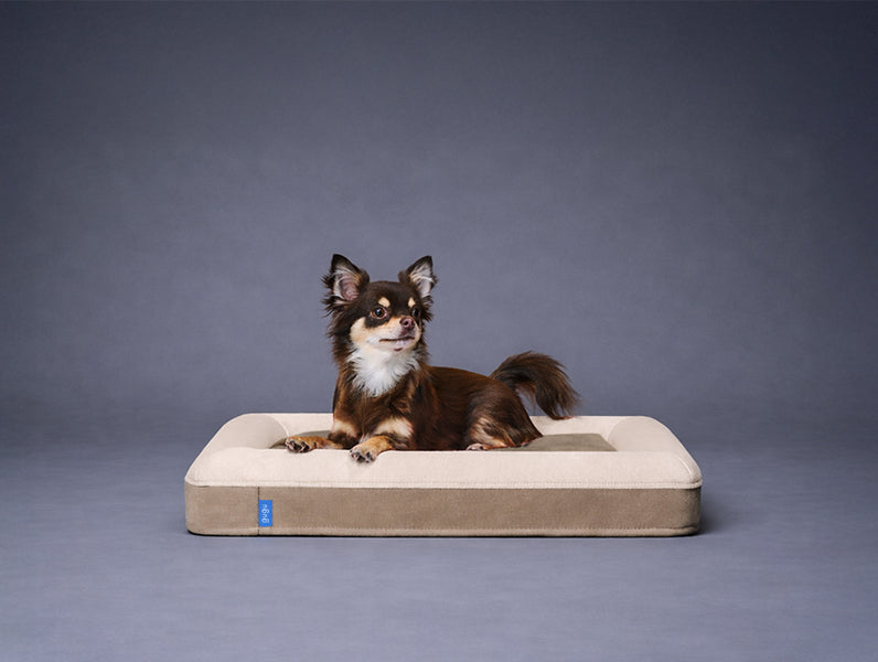 guguドギー 犬用ベッド