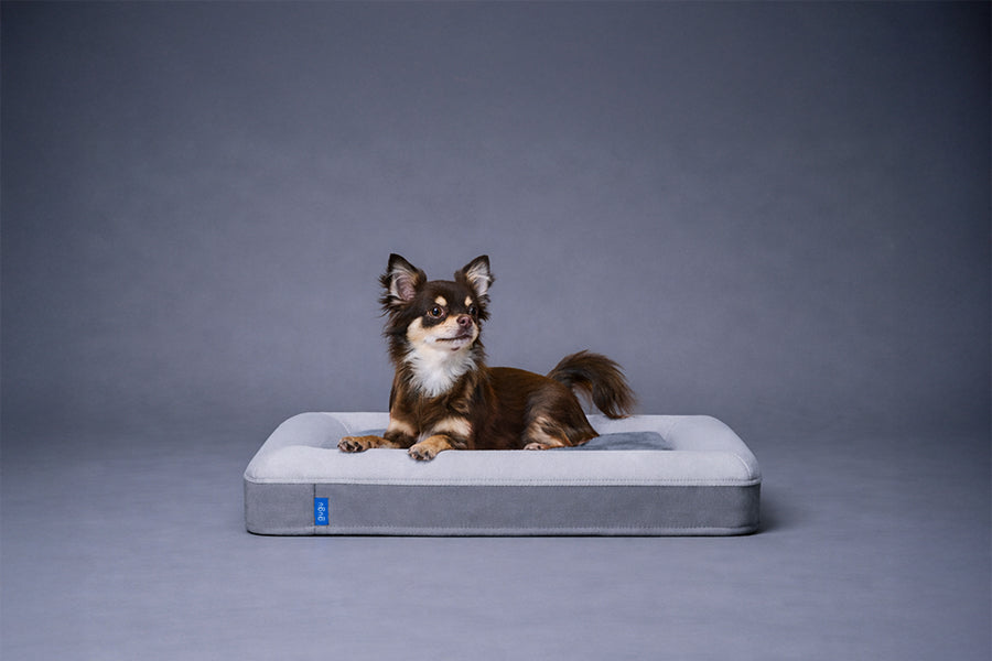 guguドギー 犬用ベッド