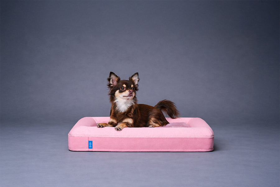 guguドギー 犬用ベッド