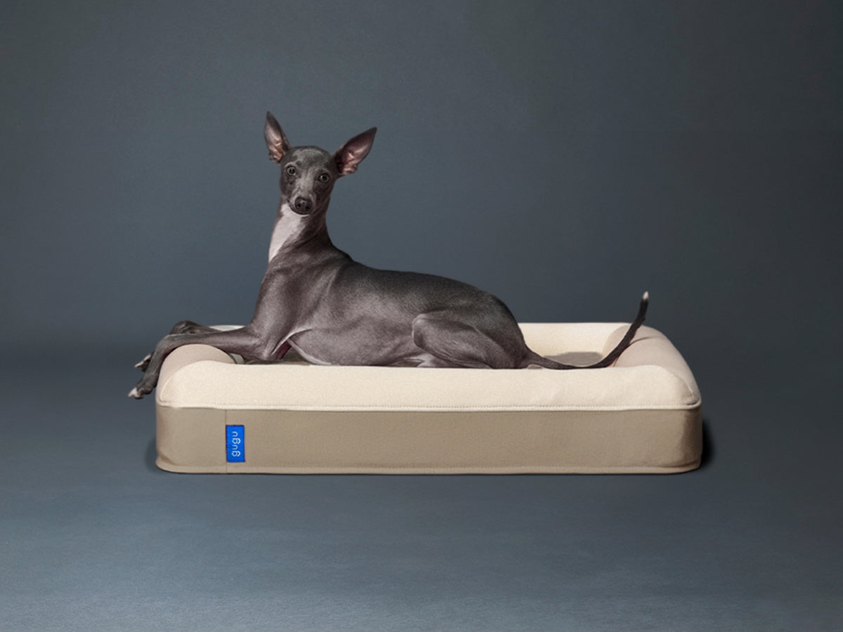 guguドギー 犬用ベッド