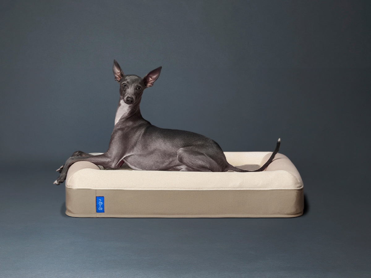 guguドギー 犬用ベッド