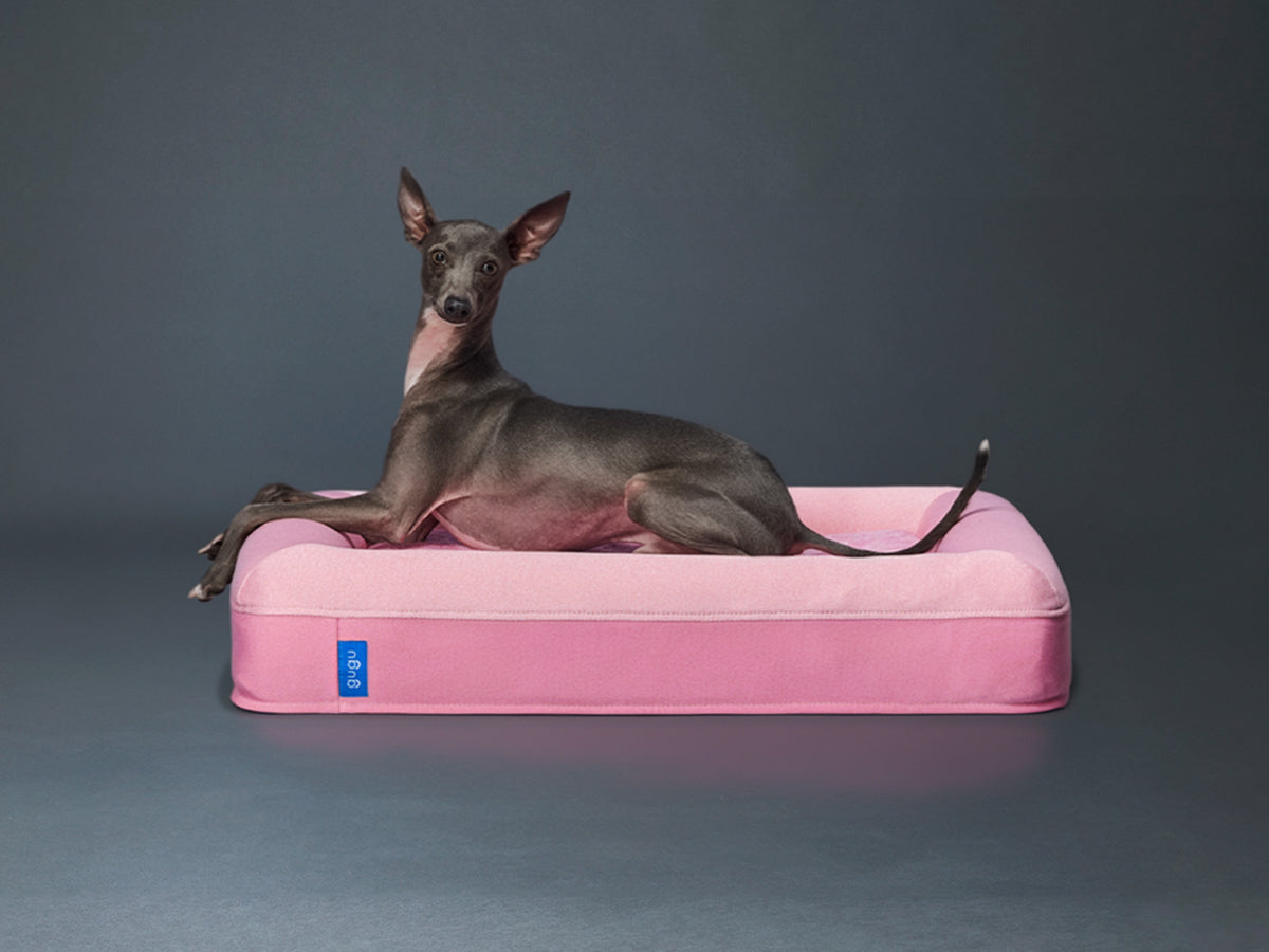 guguドギー 犬用ベッド
