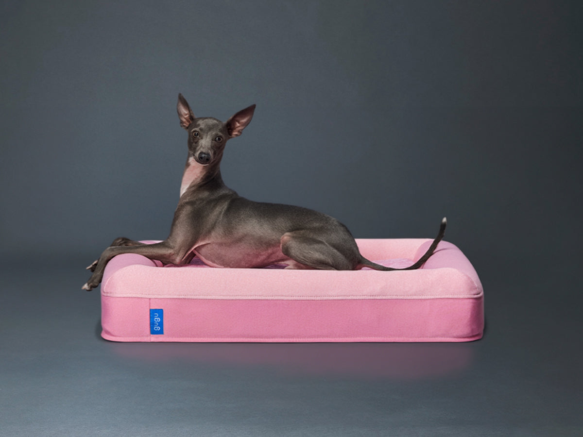 guguドギー 犬用ベッド