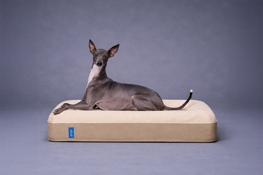 guguドギー 犬用ベッド