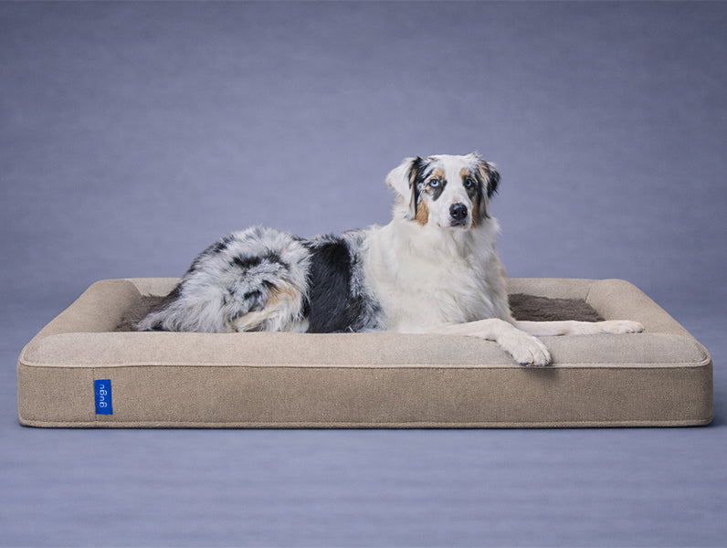 guguドギー 犬用ベッド