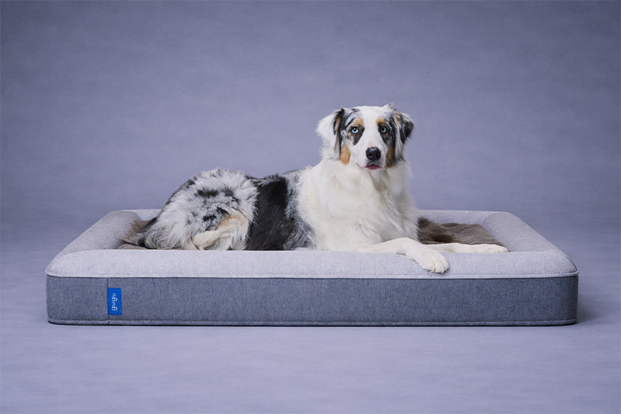 guguドギー 犬用ベッド