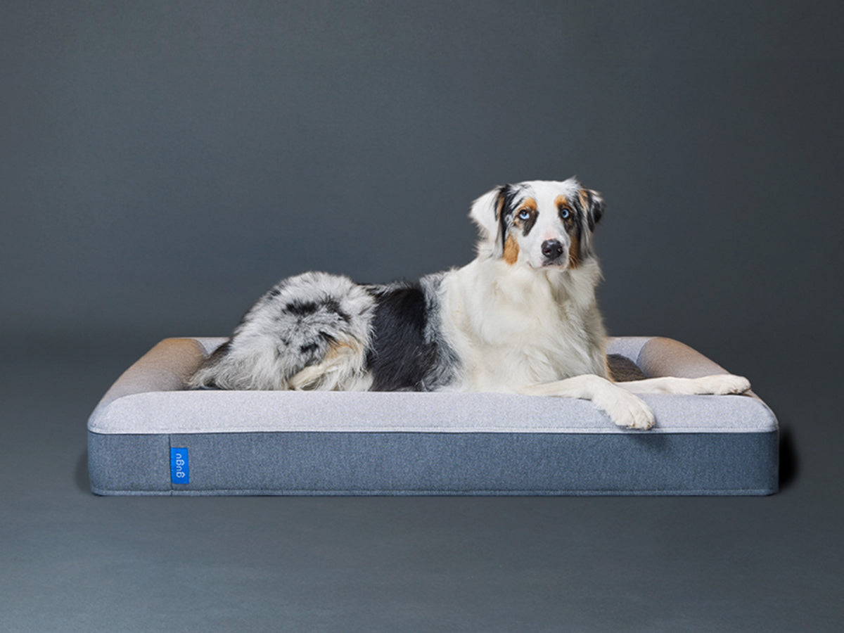 guguドギー 犬用ベッド