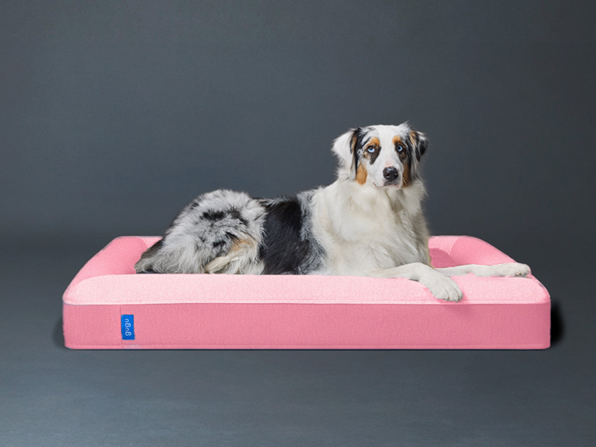 guguドギー 犬用ベッド