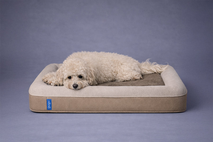 guguドギー 犬用ベッド