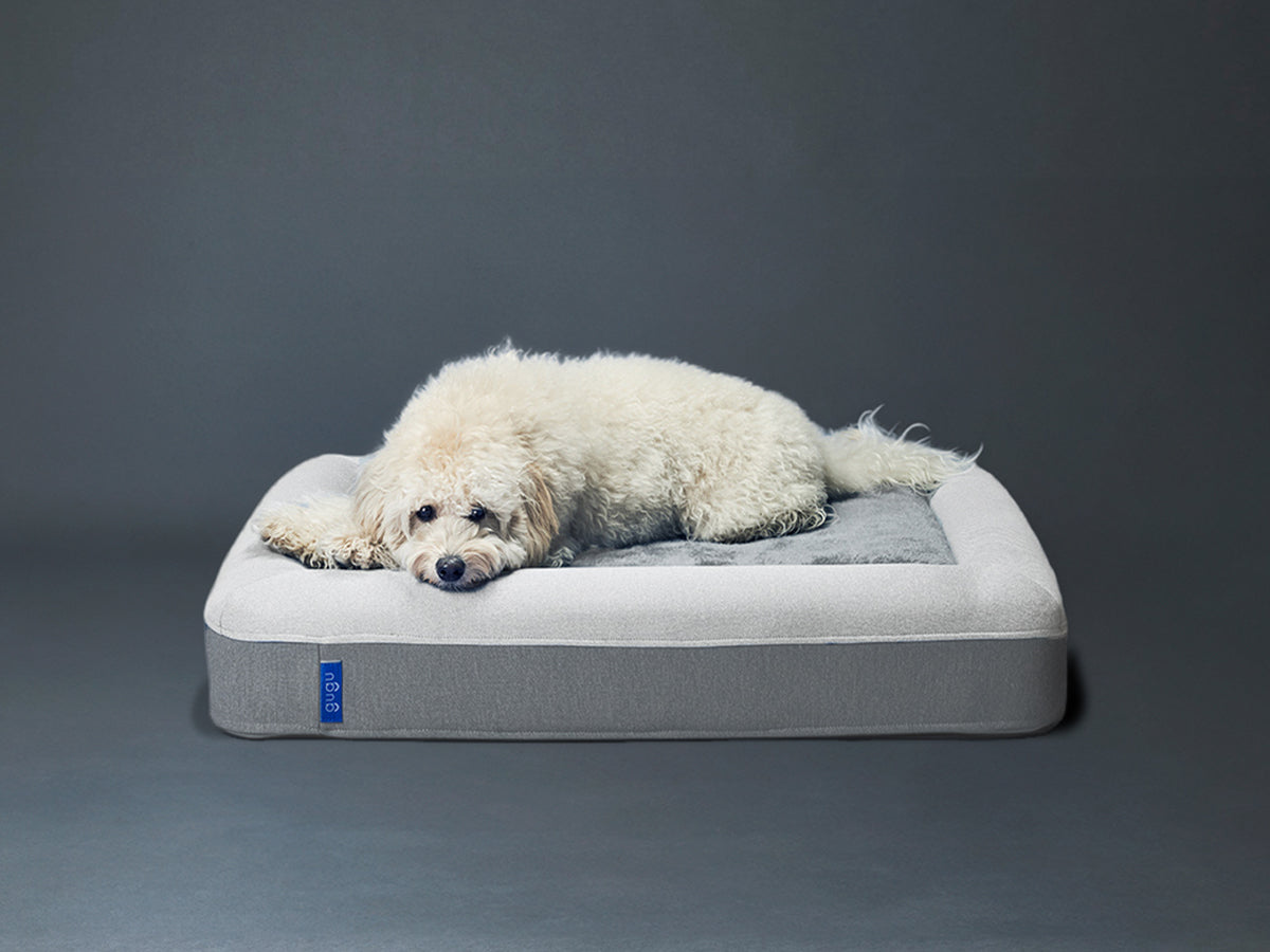 guguドギー 犬用ベッド