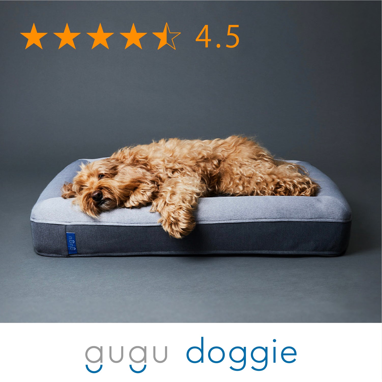 global_doggie_star