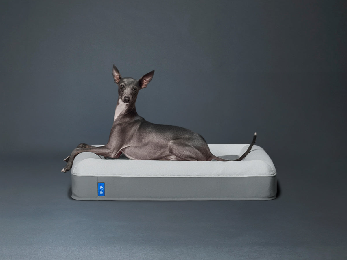 guguドギー 犬用ベッド