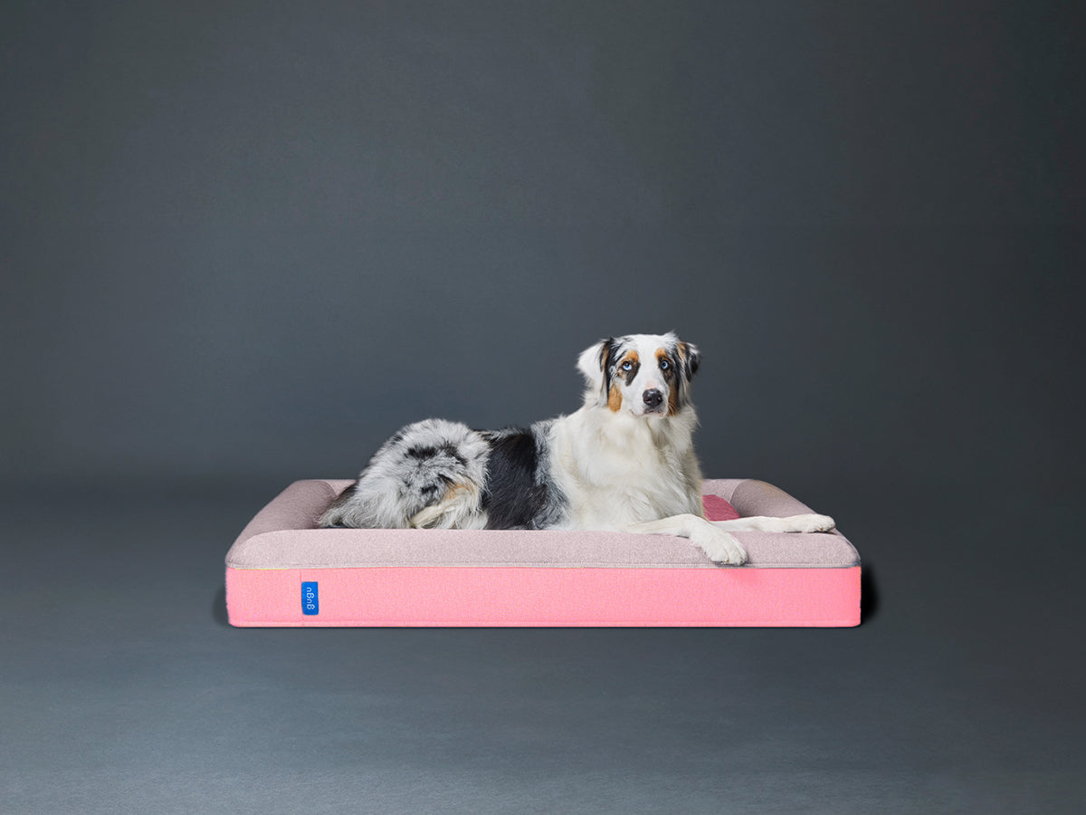 guguドギー 犬用ベッド