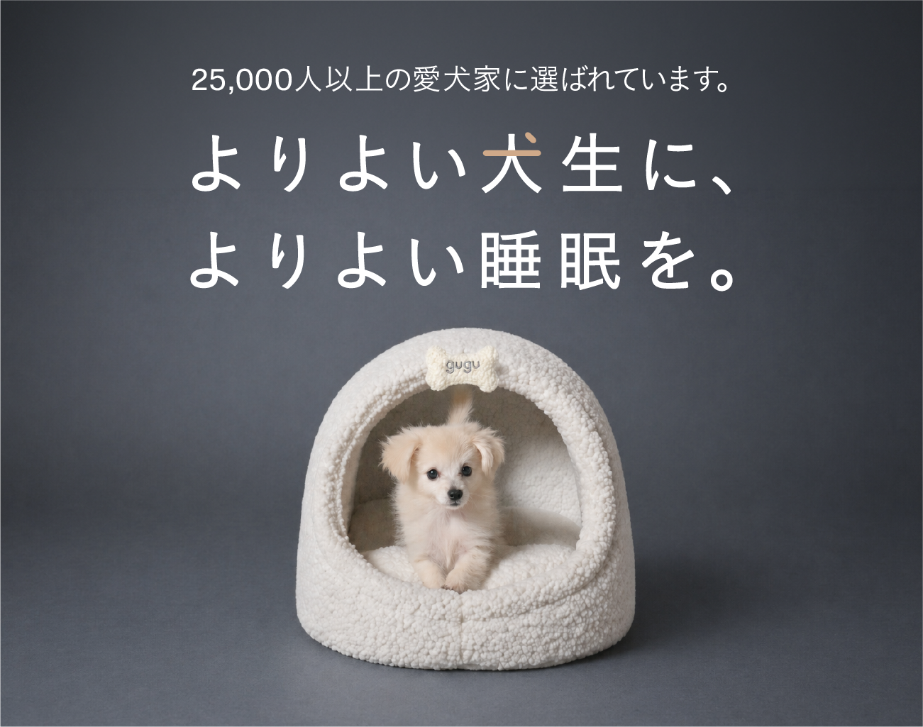 guguパピー