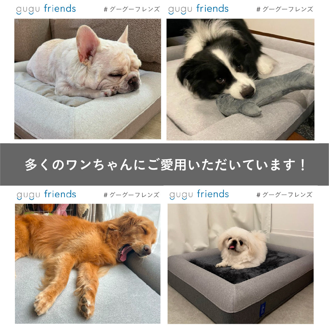 guguドギー シニア