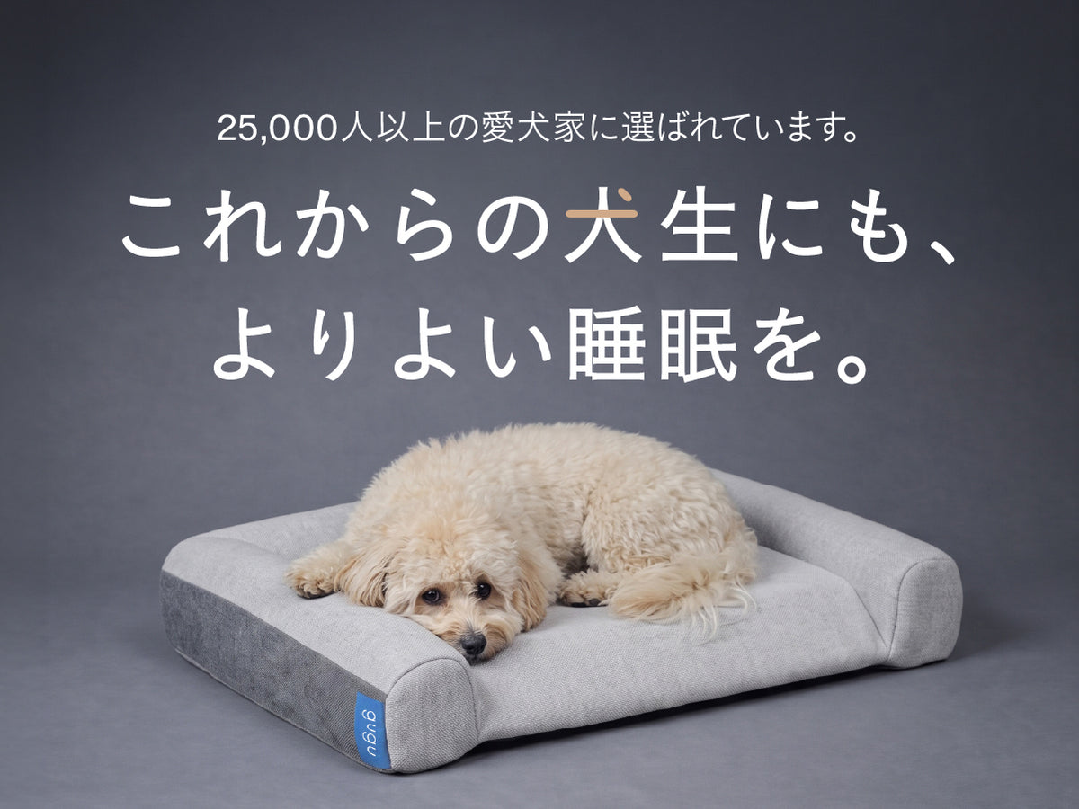 gugu シニア
