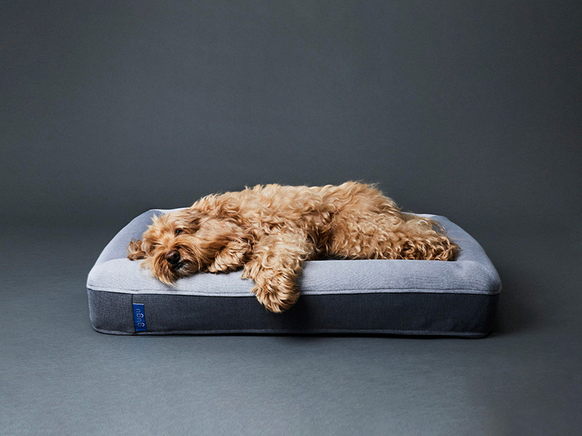 グーグースリープ【公式】｜犬用ベッド｜超小型犬・小型犬・中型犬
