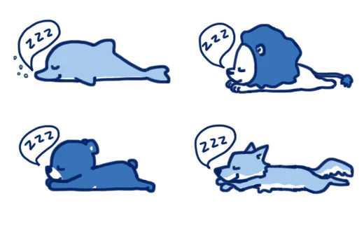 クロノタイプと呼ばれる4つの動物別睡眠タイプ