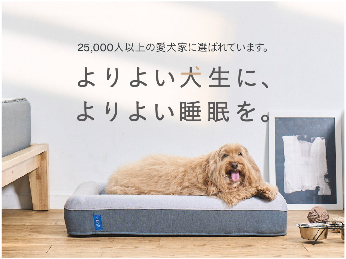 gugu ドギー グレー#カラー_グレー