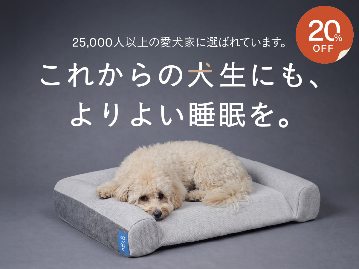 美品！グーグースリープドギーSグレー gugu シニア