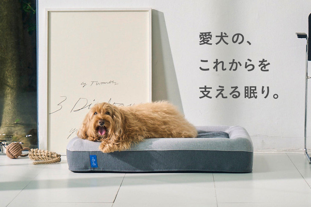 guguドギー 犬用ベッド