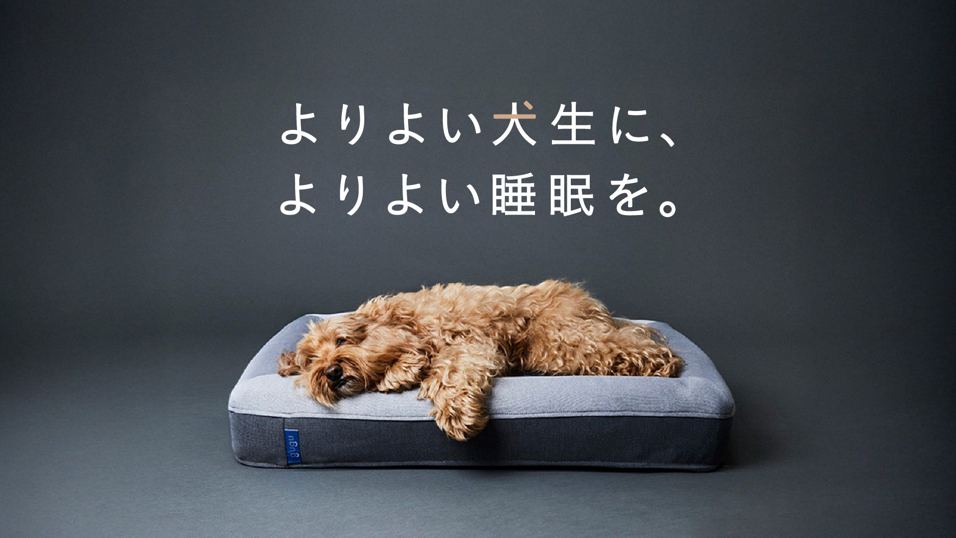 新品未使用　GUGU ドギーベッド 3.0_hero_bruno_PC-100.jpg?v=