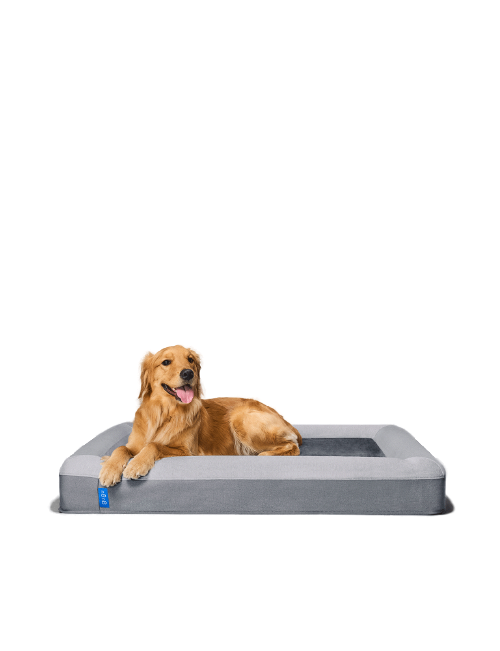 gugu ドギースリープペットベッド あせ S グーグースリープ 犬 gugu ドギースリープペットベッド あせ S グーグースリープ 犬
