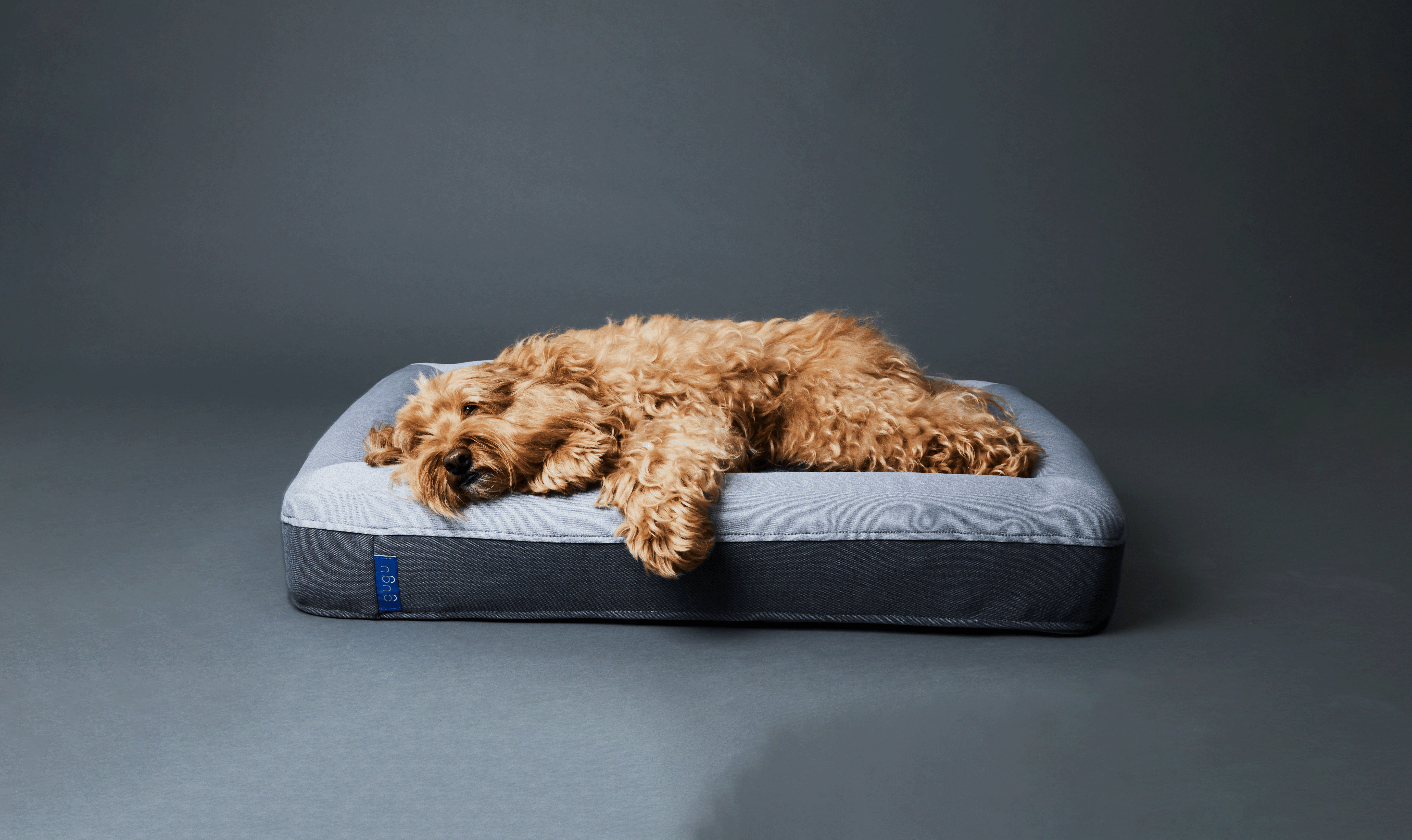 【ちぃちゃん】gugu ドギー 犬用ベッド L グーグースリープ【公式】|犬用ベッド|超小型犬・小型犬・中型