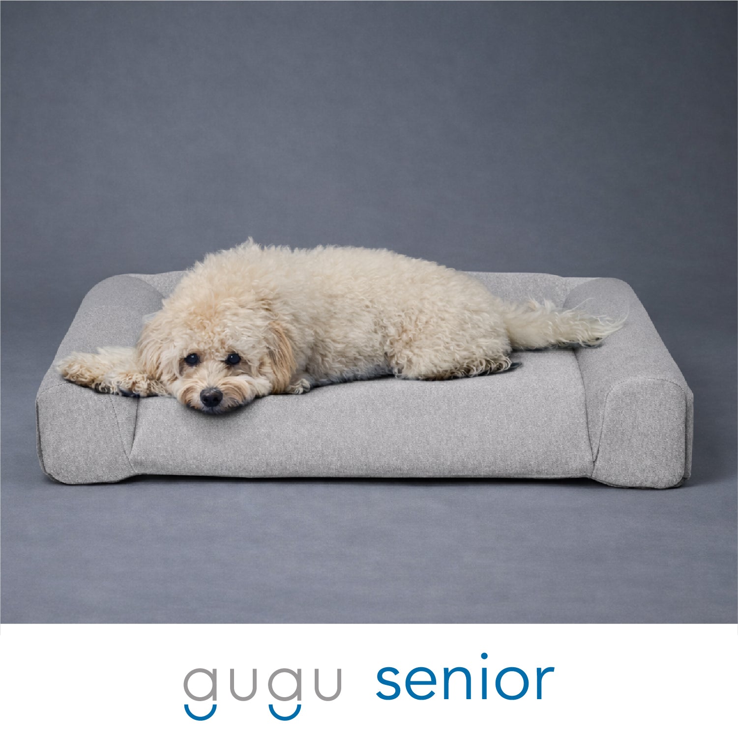 グーグースリープ【公式】｜guguドギー シニア