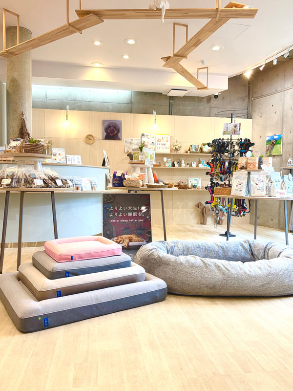 <代理店> PET GOODs söpö by kokko
