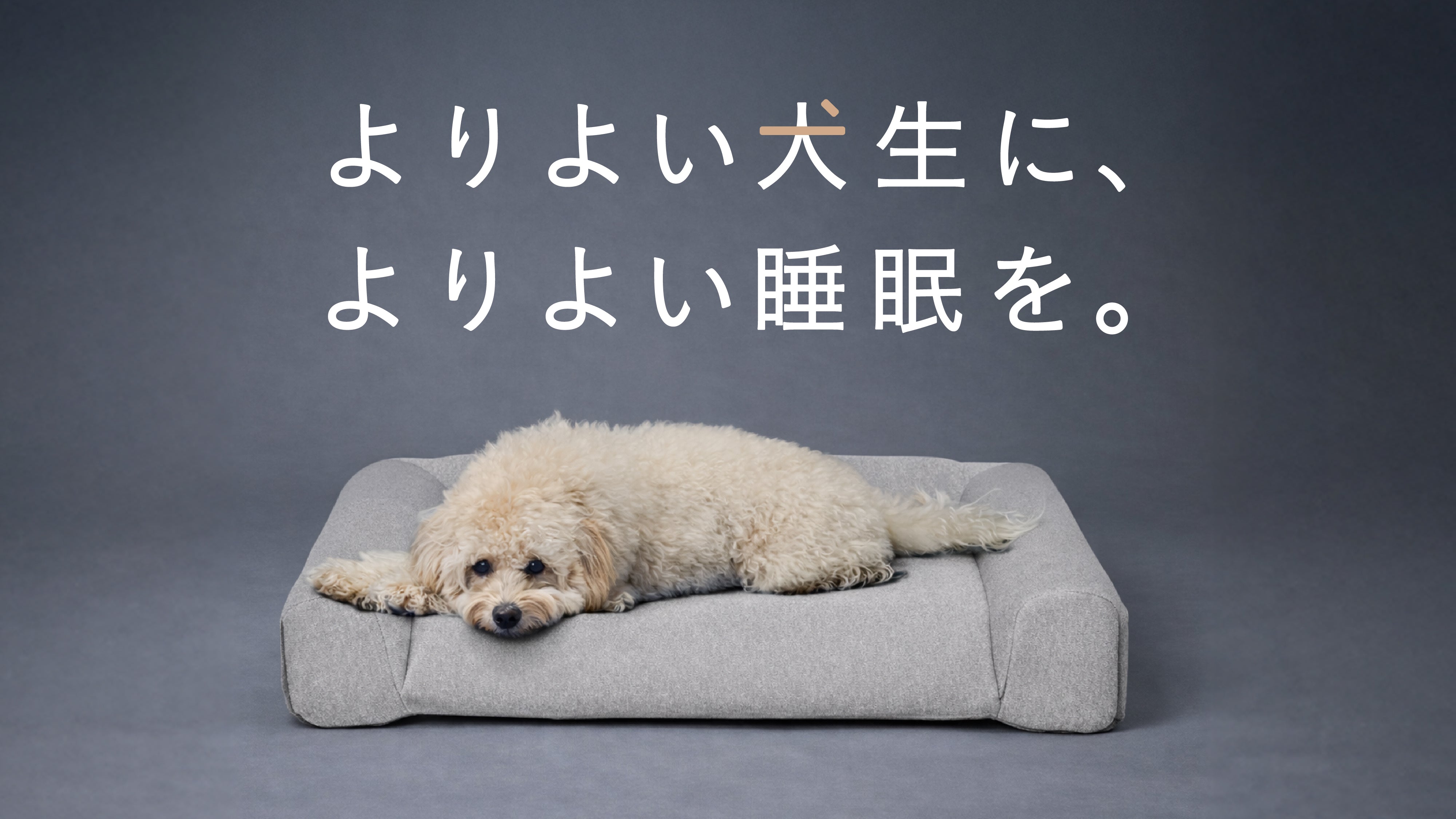 グーグースリープ【公式】｜guguドギー シニア