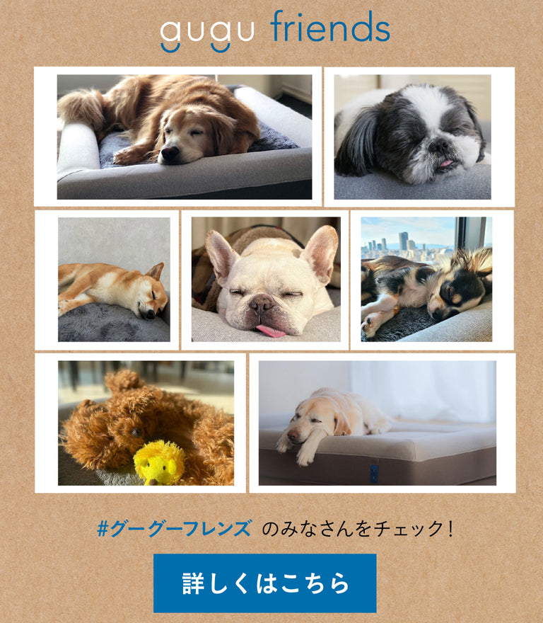 グーグースリープ【公式】｜guguドギー シニア