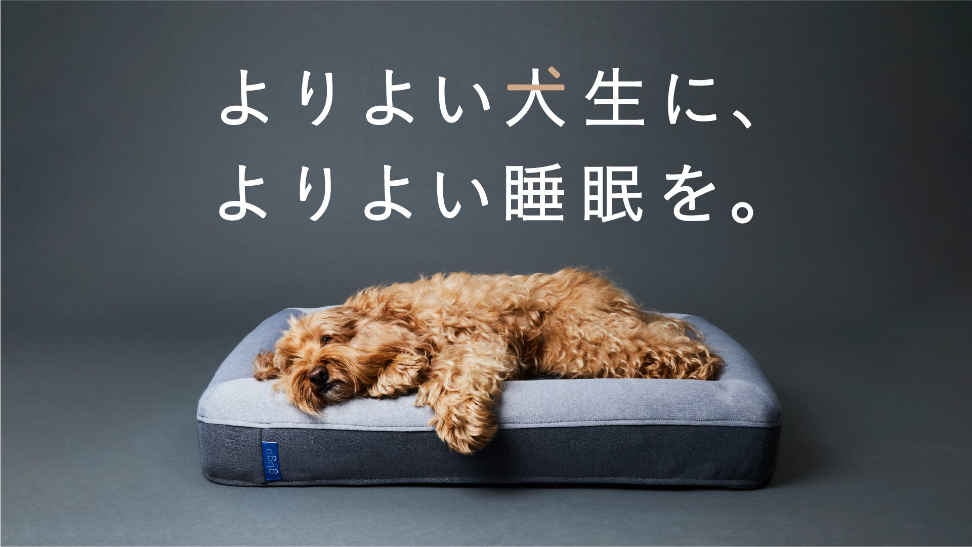 グーグースリープ【公式】｜犬用ベッド｜超小型犬・小型犬・中型犬