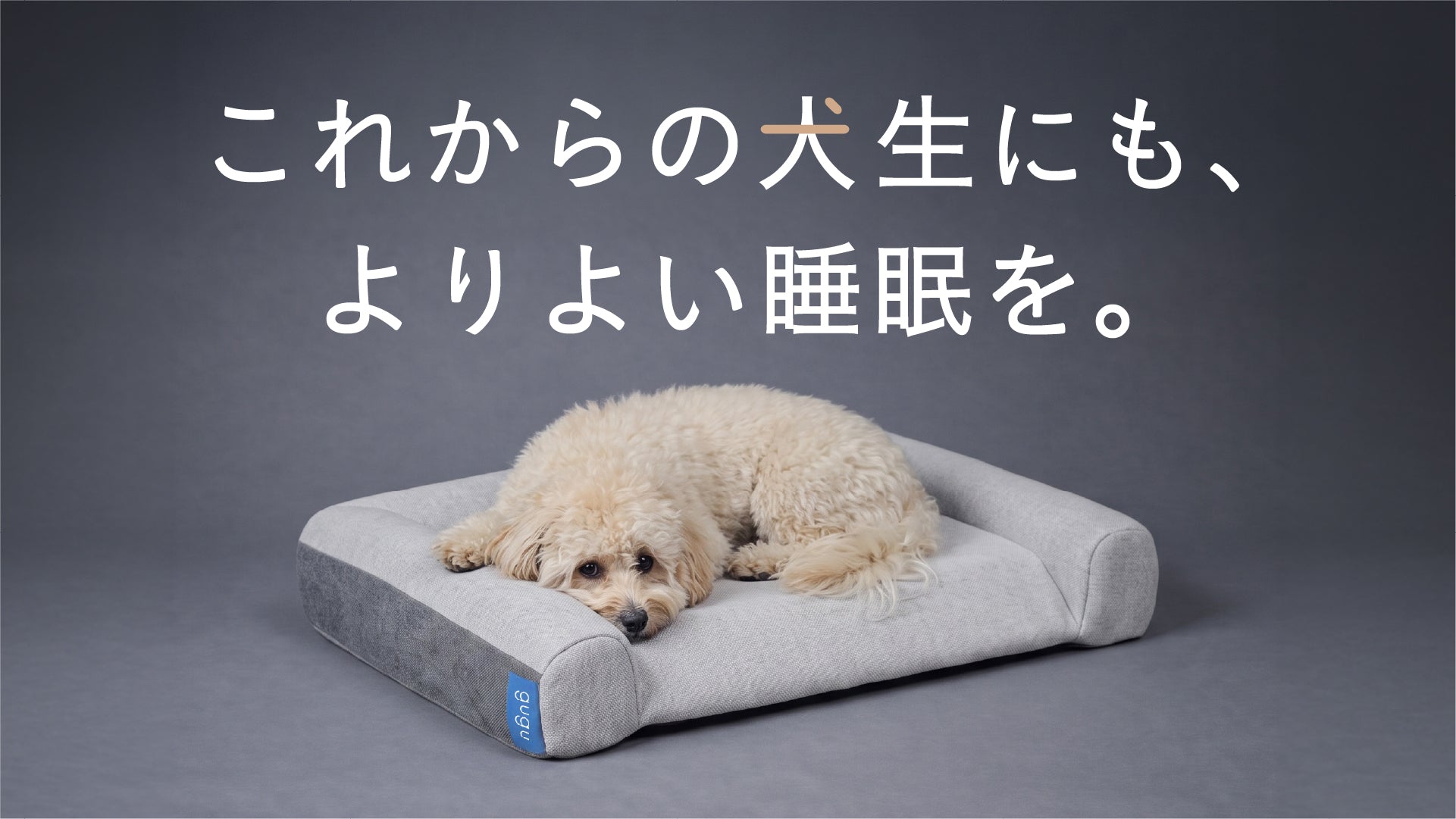 gugu シニア