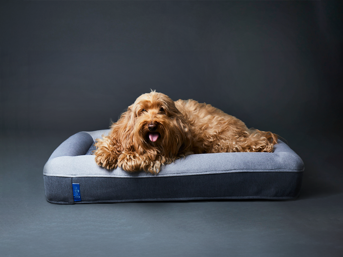 guguドギー 犬用ベッド