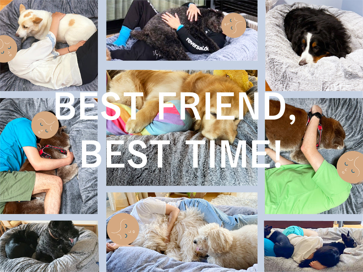 グーグースリープ【公式】｜guguハギー｜愛犬と一緒にくつろげる大型