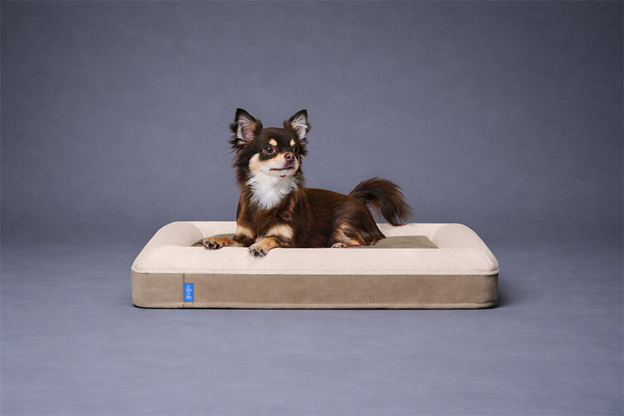 guguドギー 犬用ベッド