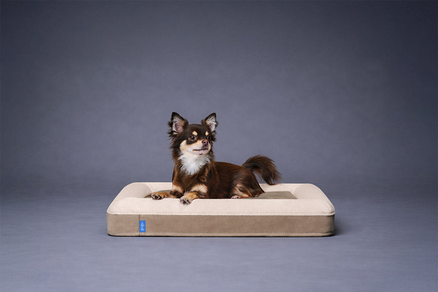 guguドギー 犬用ベッド