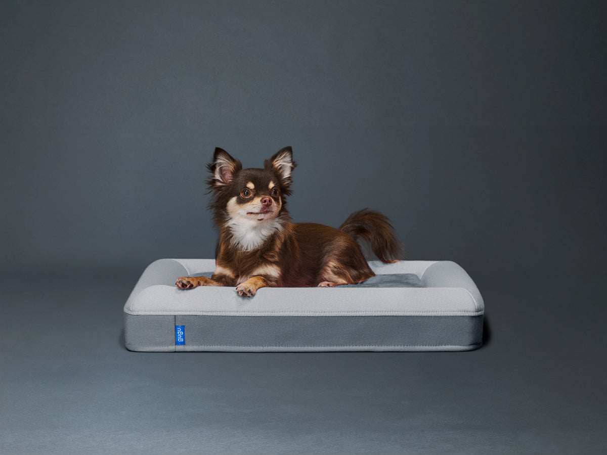 guguドギー 犬用ベッド