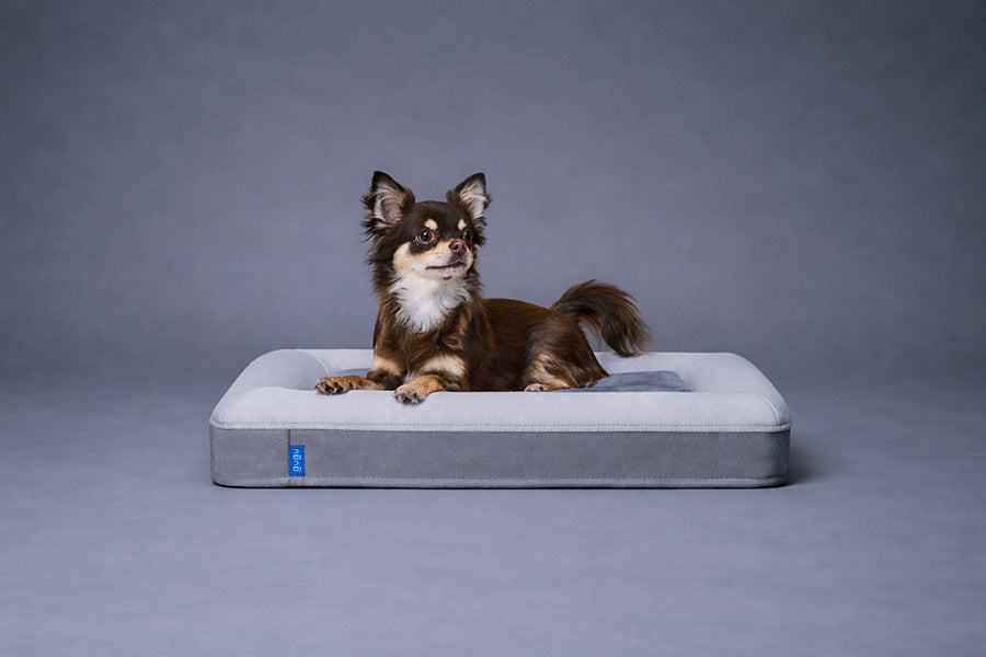 guguドギー 犬用ベッド