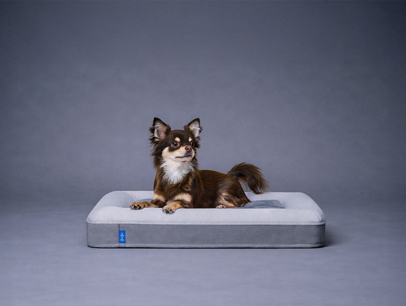 guguドギー 犬用ベッド