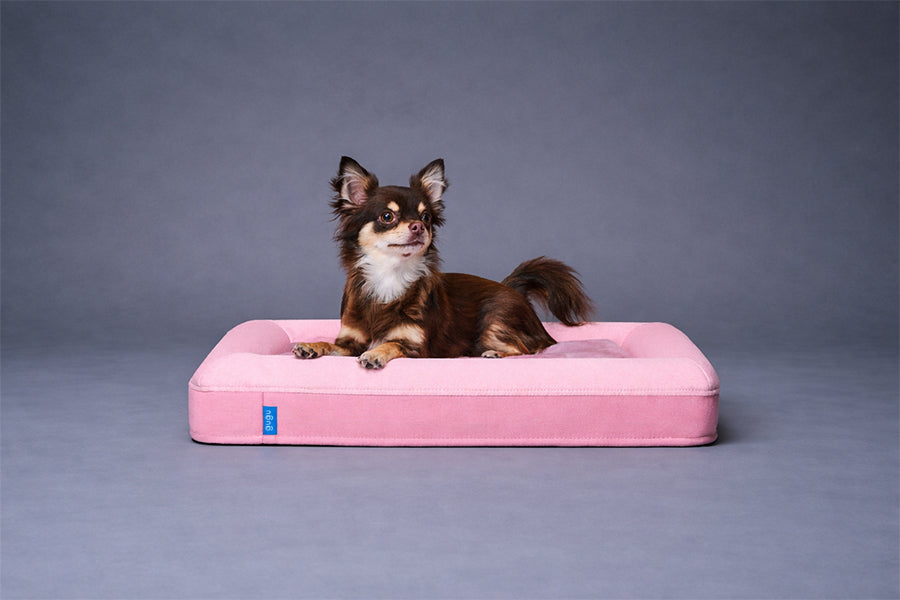 guguドギー 犬用ベッド