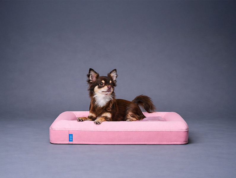 guguドギー 犬用ベッド